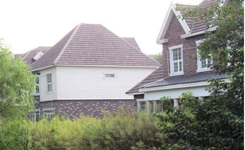 南京城内豪华别墅群闲置 杂草丛生显荒凉 --凤