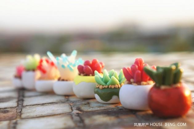 1月17日18日招商·兰溪谷开启多肉植物DIY --