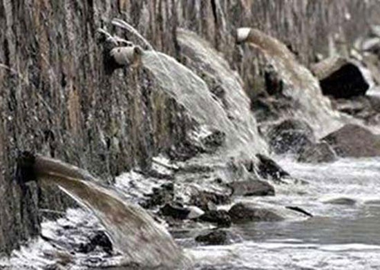 江苏连云港一工厂排污 百亩土地荒废无法耕种