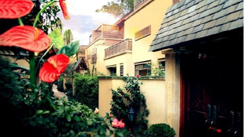 看别墅专家 龙湖园林大师如何妆点青城山 --凤