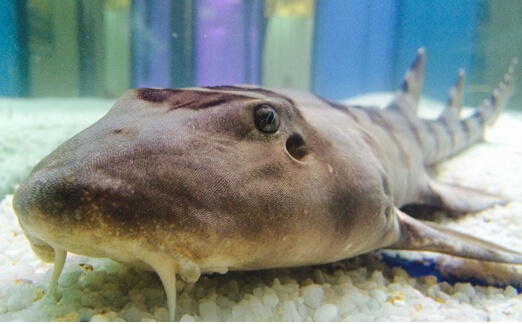 三节联动 千人热捧 世茂海峡城玩嗨了!