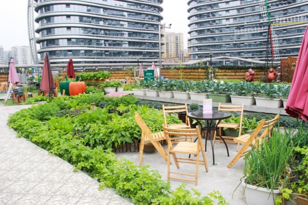 城市农场:用绿色与人们互动 --凤凰房产成都