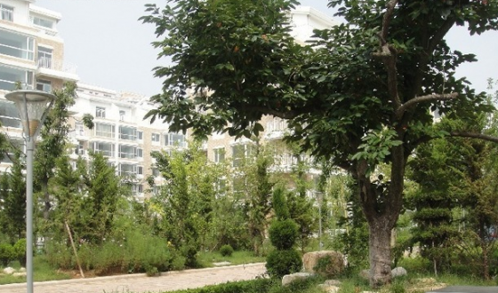 双泉堡甲2号院楼盘详情