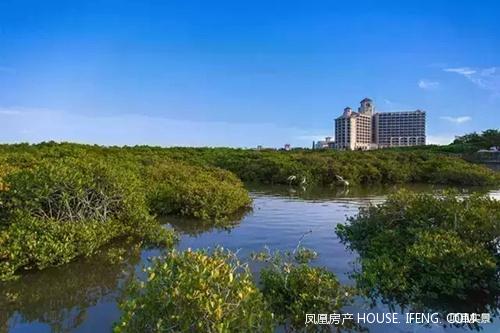 林海碧湾 雕琢生活时光 --凤凰房产海南