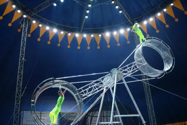 接下来的一个月时间里,南京人的朋友圈将被它