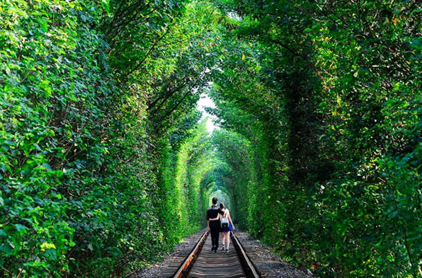 南京碧桂园:让回家成为一次旅行