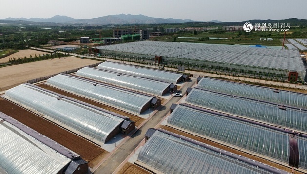 青岛西海岸新区影视文化产业引入资本运作 --凤