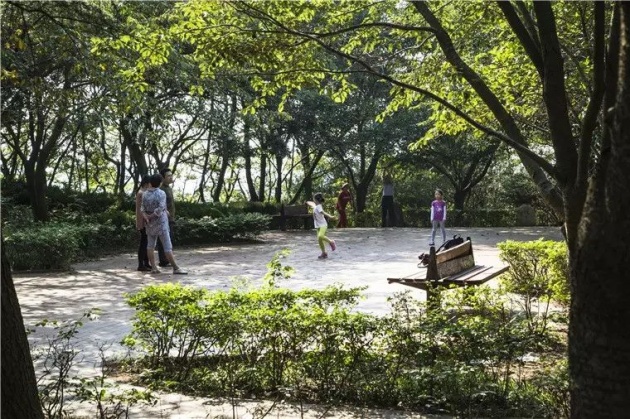 青岛10个山头公园整治启动 株洲路下月开工 --