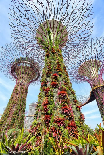 碧桂园森林城市:6折优惠开心过暑价! --凤凰房