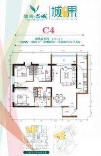 二期C4户型图