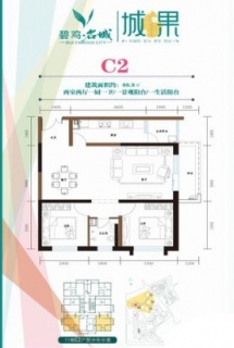 二期C2户型图