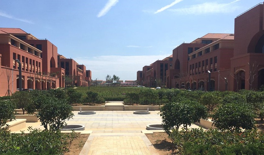 山大青岛校区今迎新 两部热线24小时开通 --凤