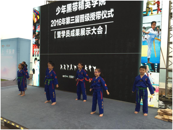 中国金牌武指亲临指导 华侨城天际湾营销中心