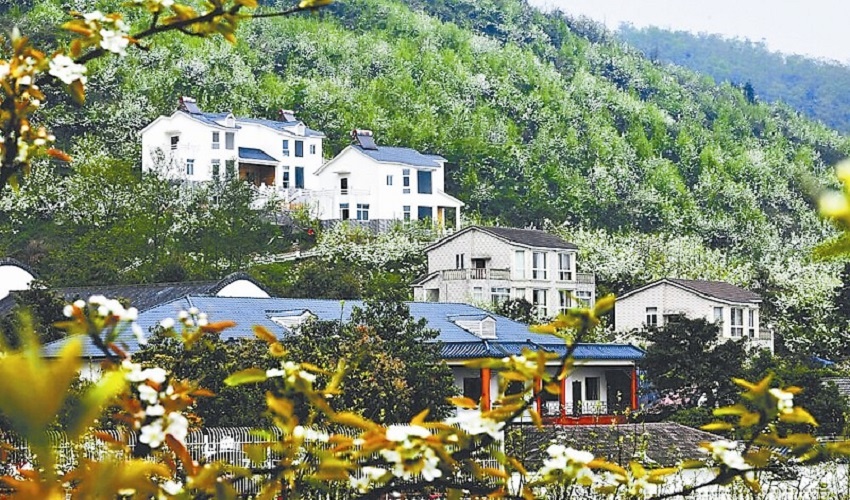 四川:3月起施行农村住房建设管理办法 --凤凰房