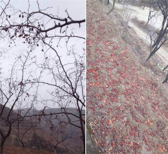 建昌gdp_建昌龙潭大峡谷风景区(2)