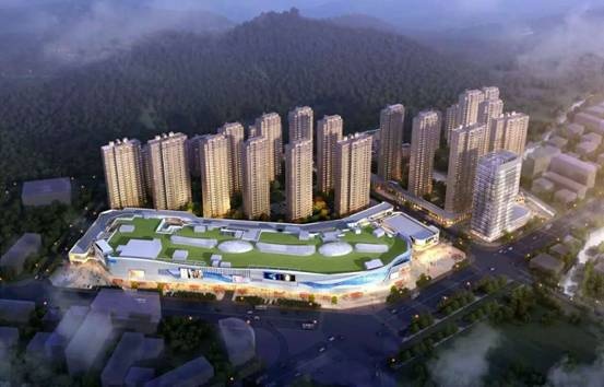 台州玉环新城吾悦广场携手丁建刚 论道城市发展新方向