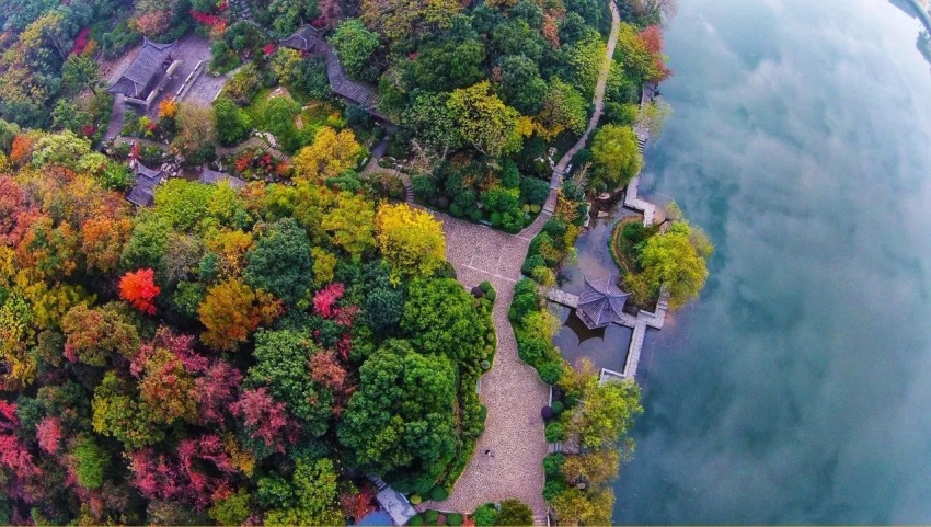 杭州这片公园,竟是伦敦第三富人区的镜像?还有