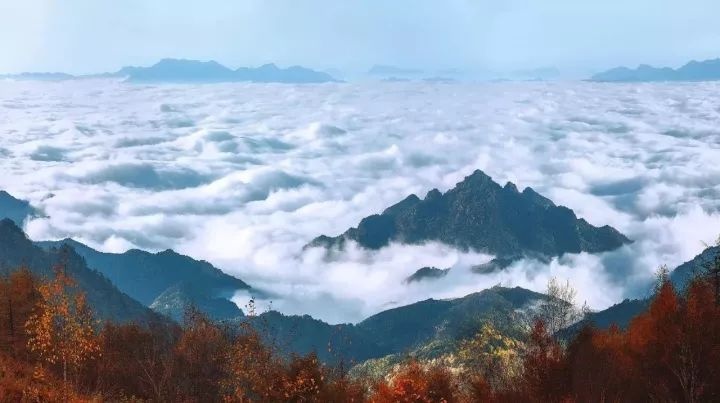 城市再生丨一座高铁新城,镌刻城市腾飞的地标