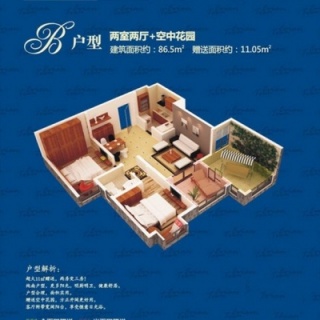 B户型居室