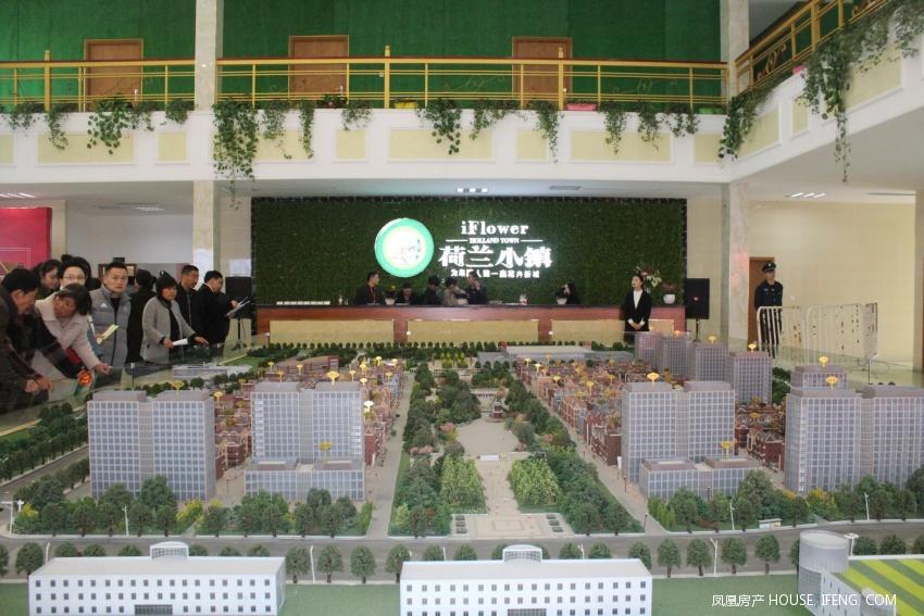 11.11 阜阳这个叫荷兰小镇的地方火了! --凤凰房