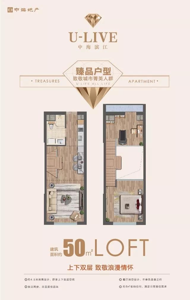 50平米loft户型图