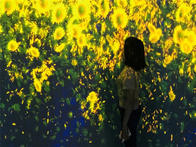 沈阳嘉里城带来了一场沉浸式光影互动艺术展,