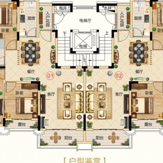 禧园墅式洋房55、59座五层01/02户型