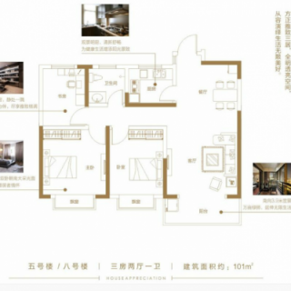 5#8#楼B户型