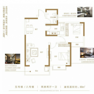 5#8#楼A户型