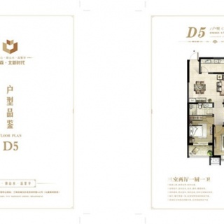 10#地D5户型