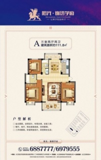 A户型