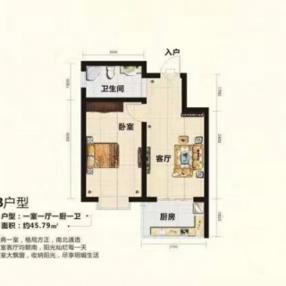 B户型