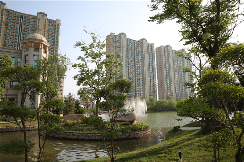 恒大绿洲实景图2