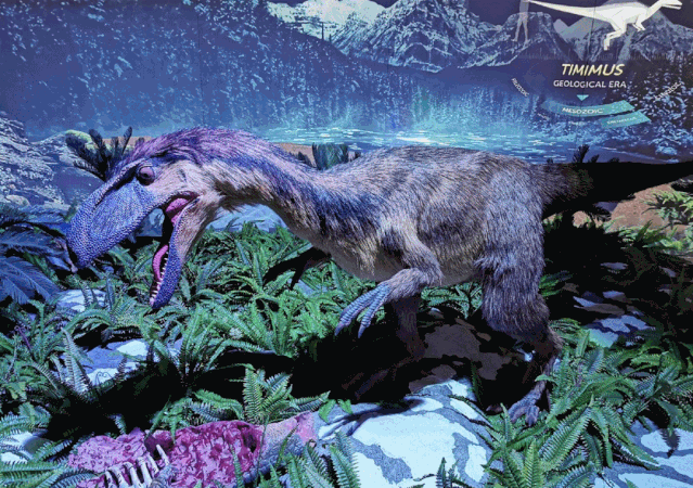 亲子游玩圣地丨6月29日中泰上境邀你探秘侏罗纪!