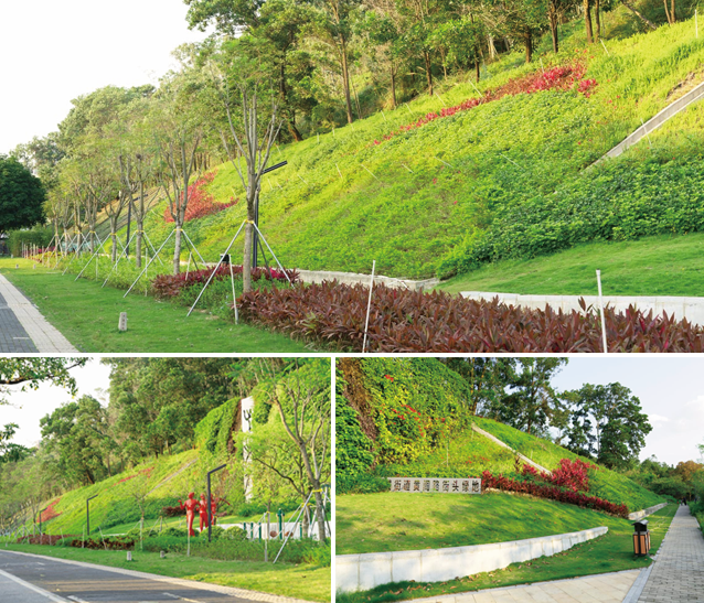 边坡绿化修复自然生态 蜂巢约束系统助推城市美丽升级