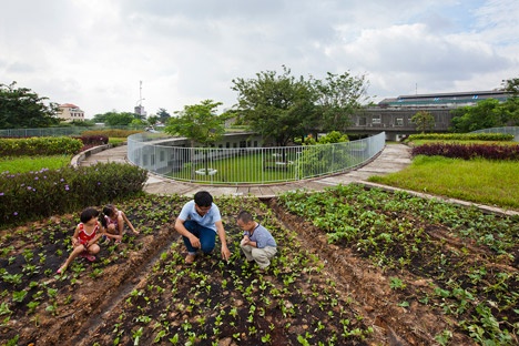 越南农场幼儿园环状屋顶设有菜园