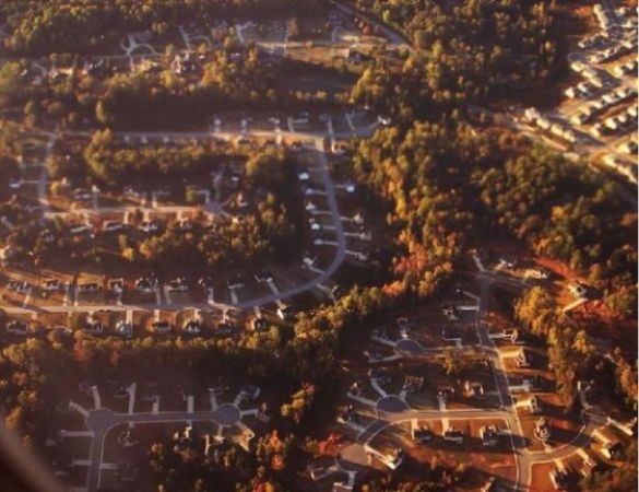城市实住人口_人口普查(3)