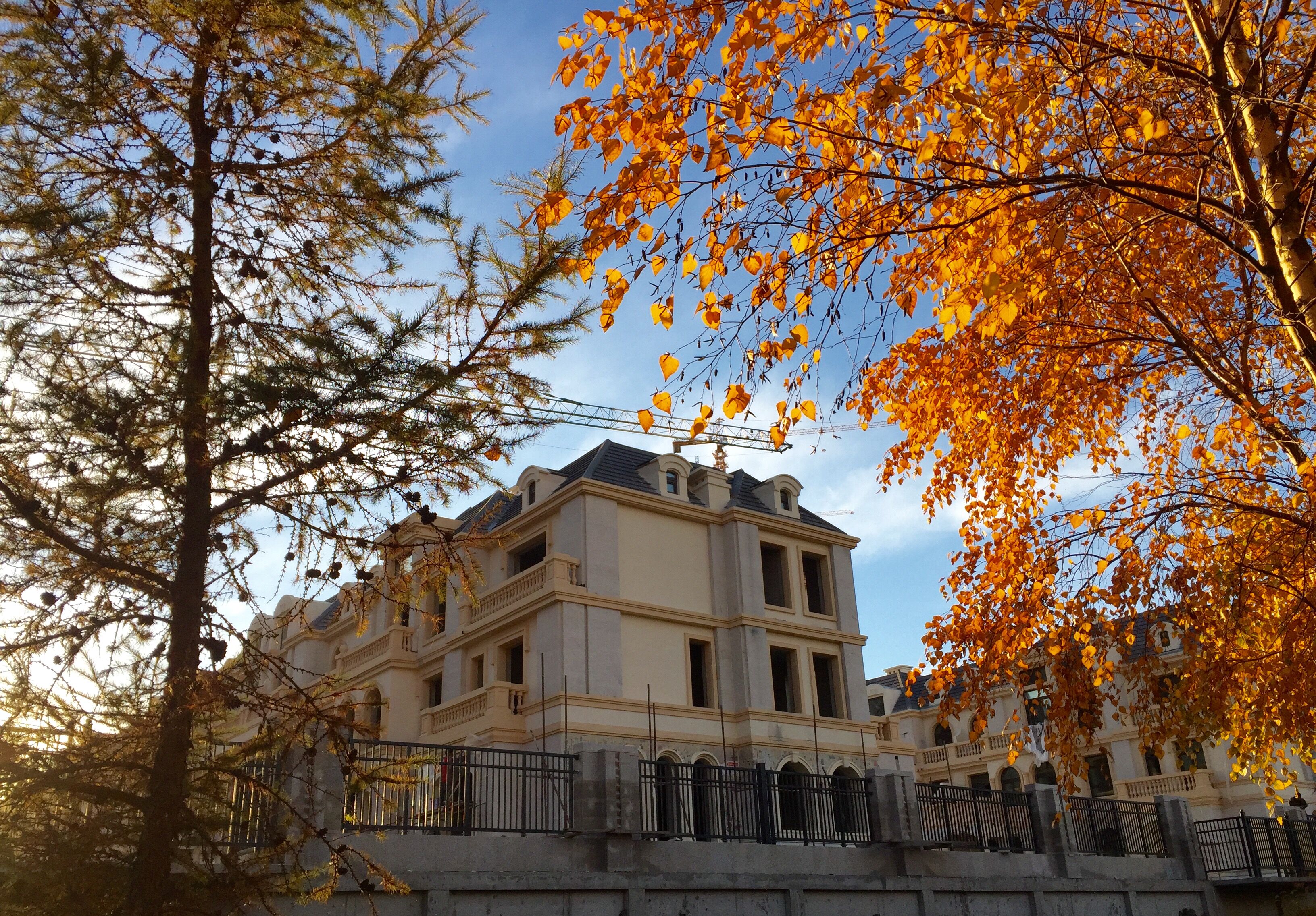 实景图_玫瑰湾·珑岸实景图-哈尔滨凤凰网房产