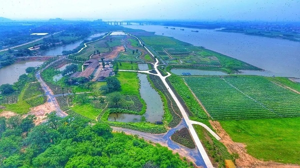 它占地660亩,依北江而生,东临南海狮岭,西临三水西南.这里