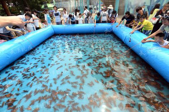 趣味钓龙虾 | "大儿童"小儿童齐聚魅力之城