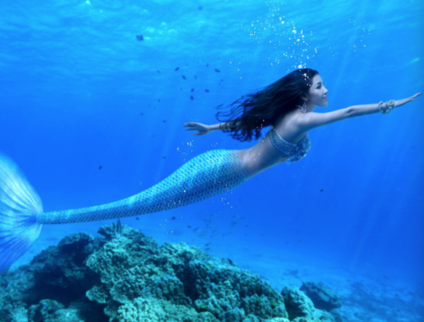 新田城企鹅助阵,美人鱼表演……狂欢来袭!