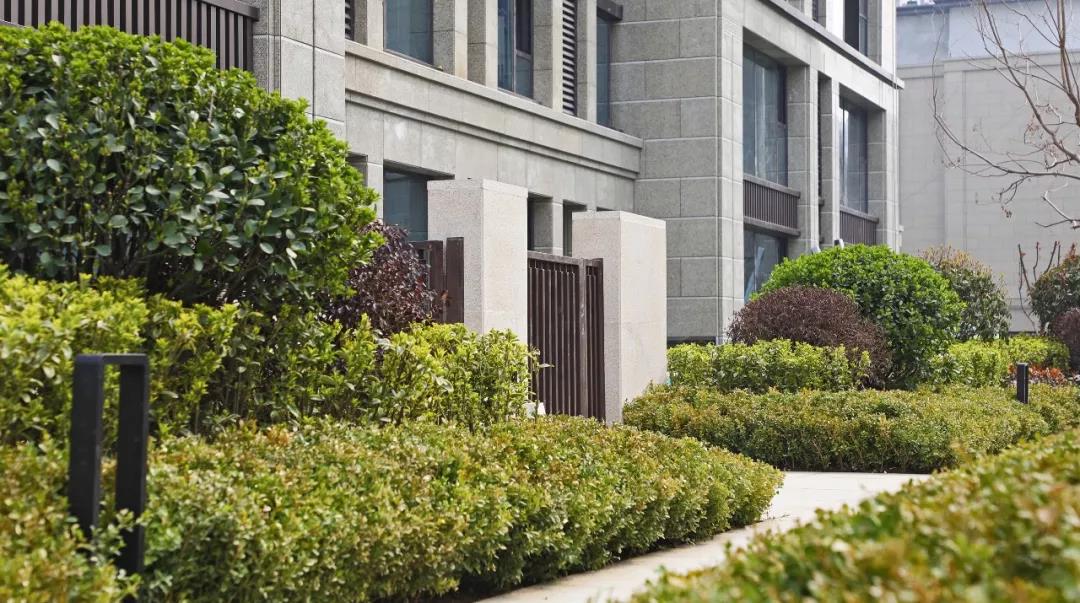 临沂楼盘 河东区楼盘 奥德海棠 奥德海棠户型 > 花园洋房e2户型