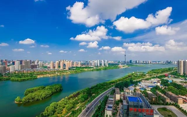 临沂城区这两个区域要征收!鲁南花卉市场这样搬!