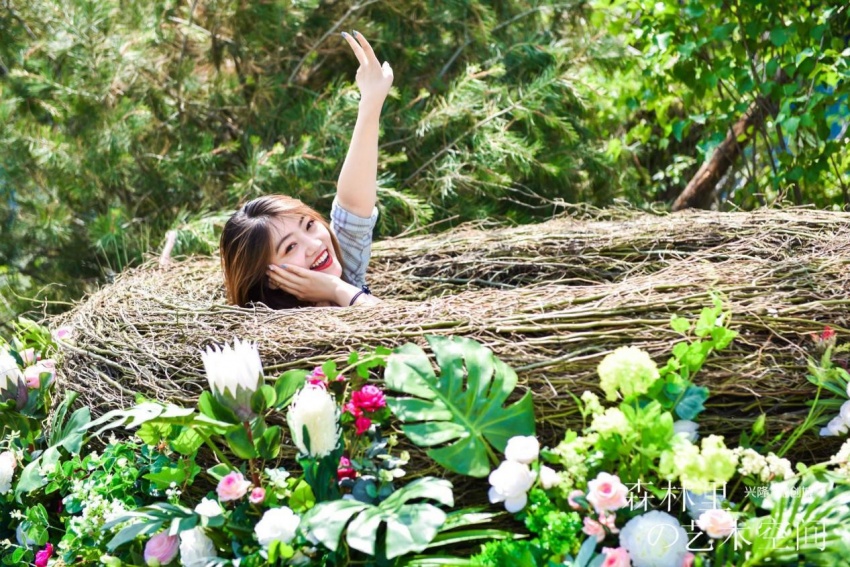 森林里の艺术空间| 倾听大自然 让夏夜森林里的萤火虫比星空更加闪耀
