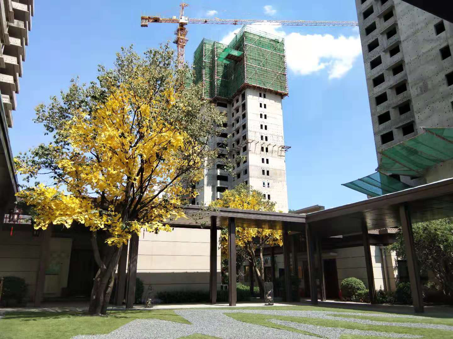 碧桂园·凤麟府信息纠错