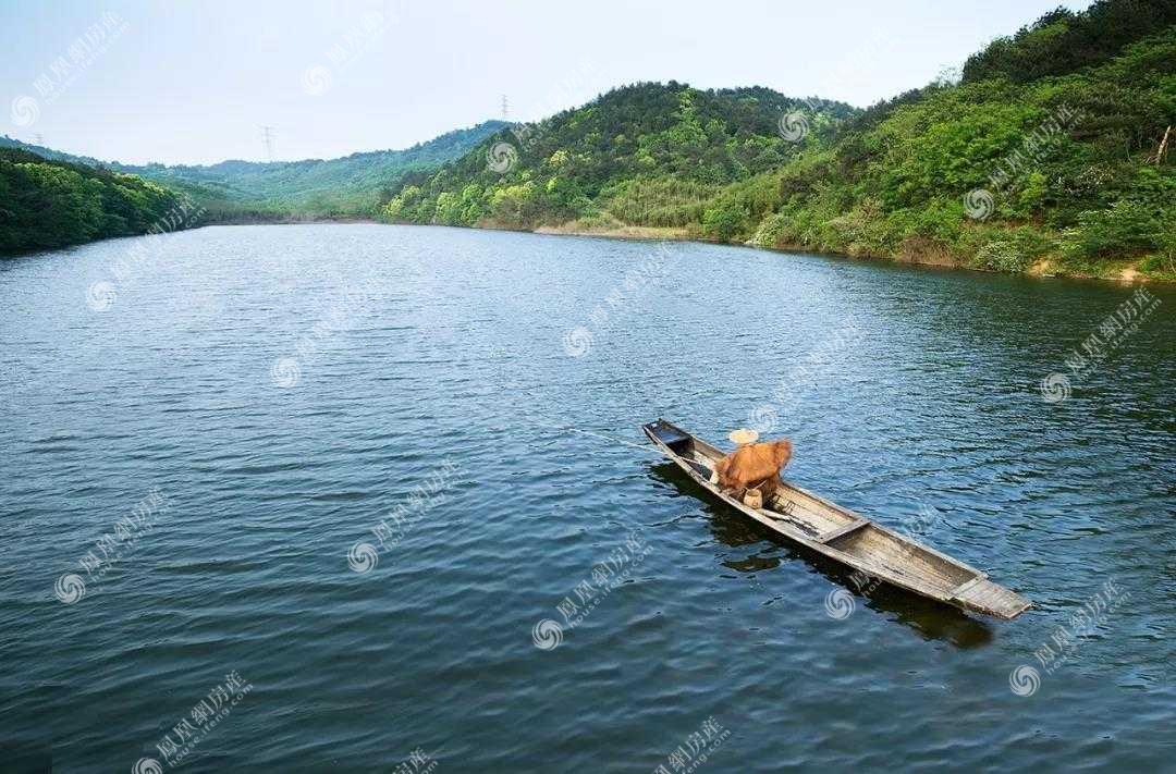莫干溪谷实景图