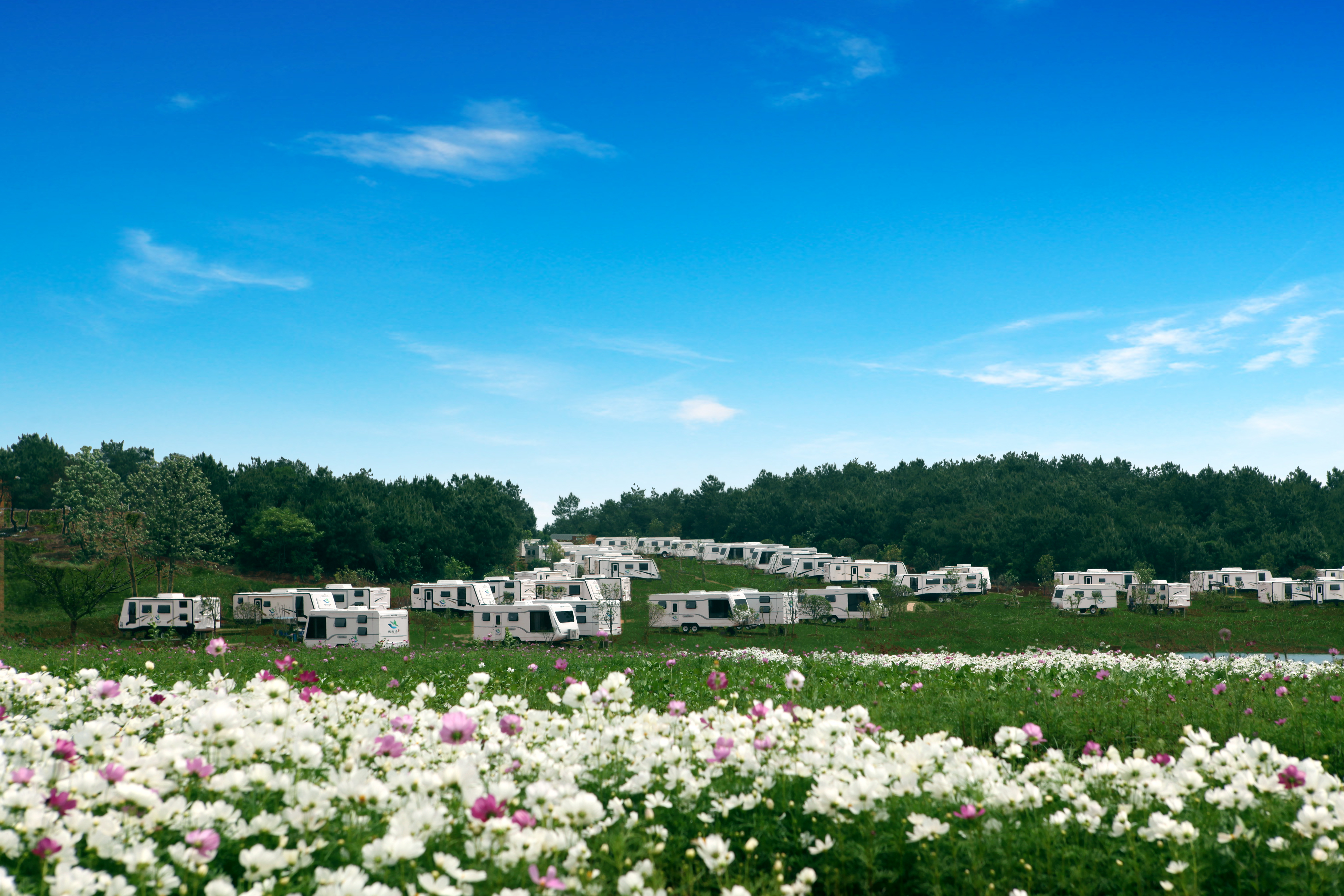 蓝城·巴夫洛实景图